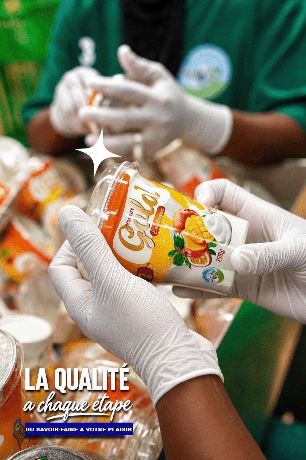 Contrôle qualité d'un pot de Yaourt Gold à l'atelier de conditionnement Yellitaare