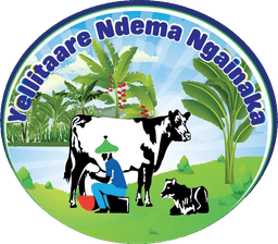 Yellitaare Ndema Ngainaka