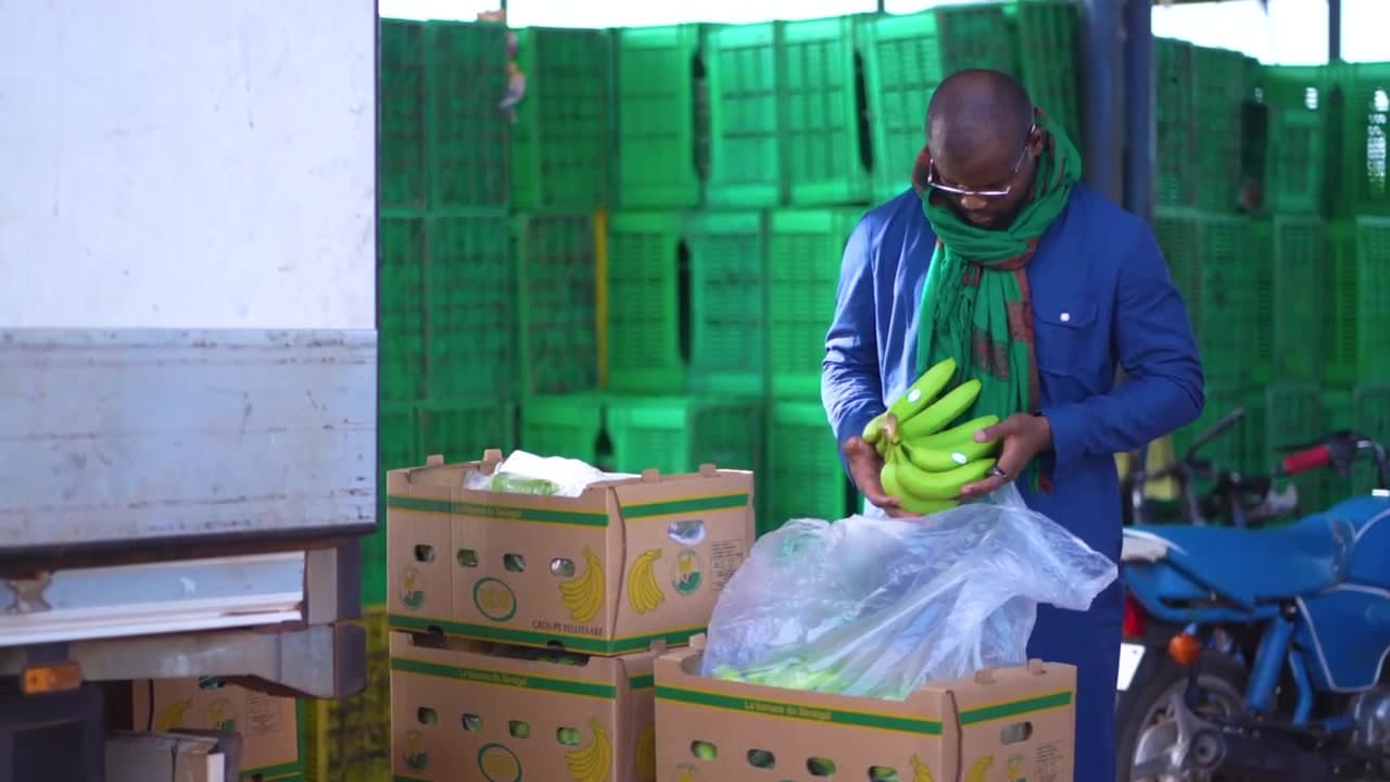 Cageots plastiques verts empilés derrière un opérateur préparant une commande de bananes