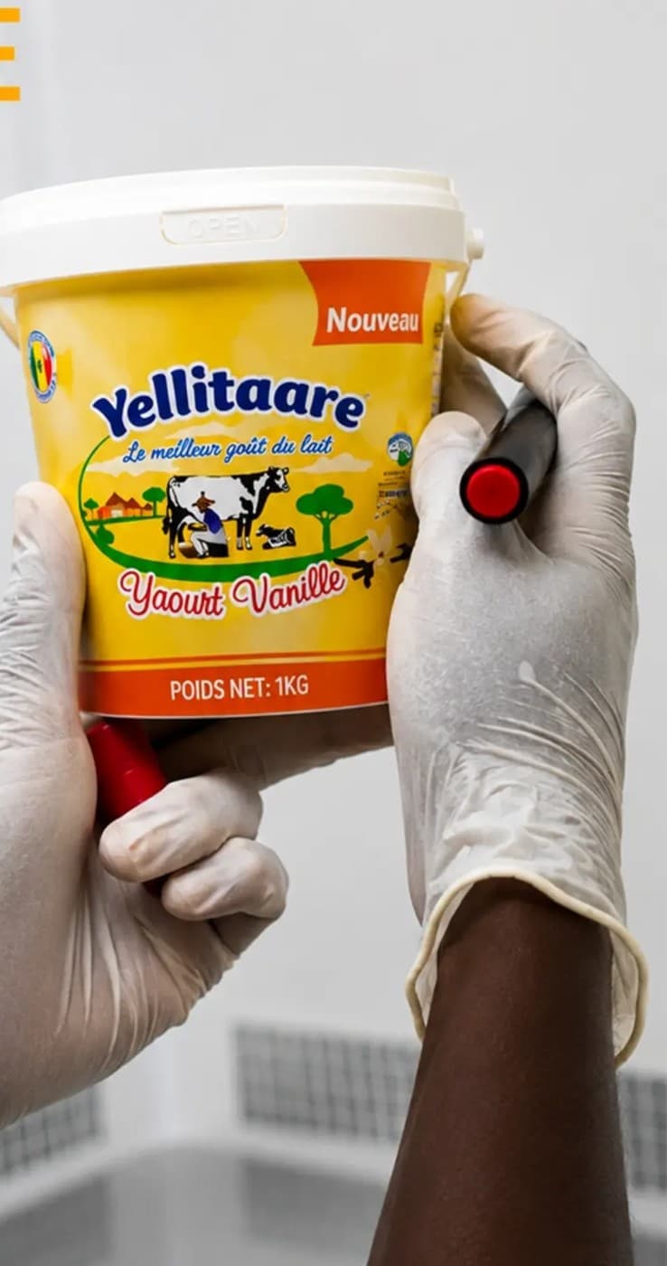 Opératrice gantée inspectant un seau de yaourt vanille Yellitaare d'un kilo
