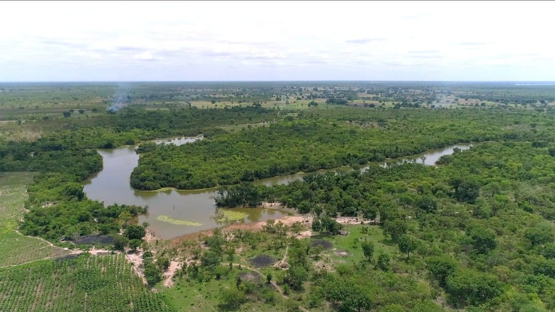 Vue aérienne d'un cours d'eau bordé de bananeraies et de terres agricoles